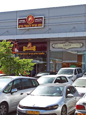 מלך האריות - חנות חיות בחדרה