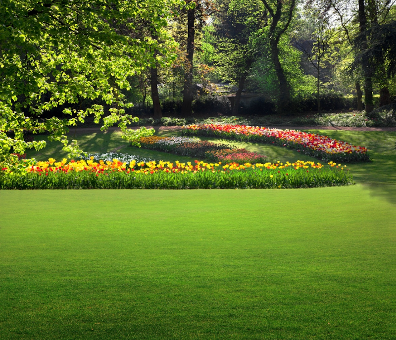 Holly Greens Minded Landscaping & Lawn Care LLC