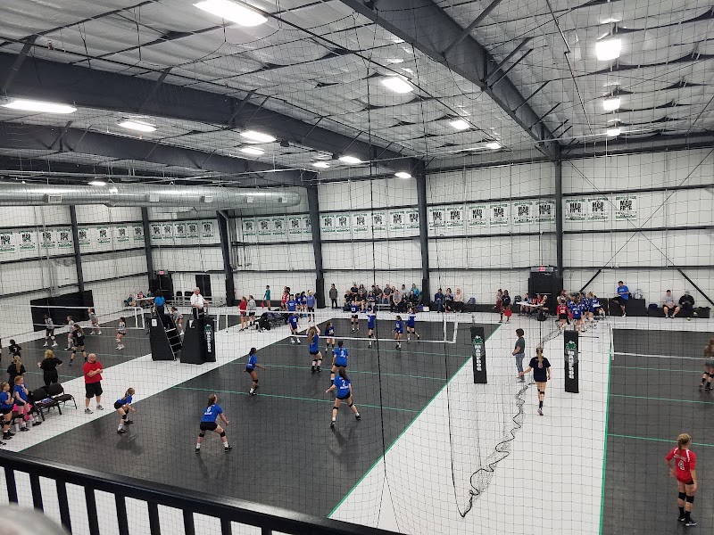 MadFrog Volleyball