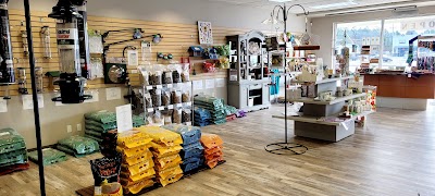 The Bird Shoppe