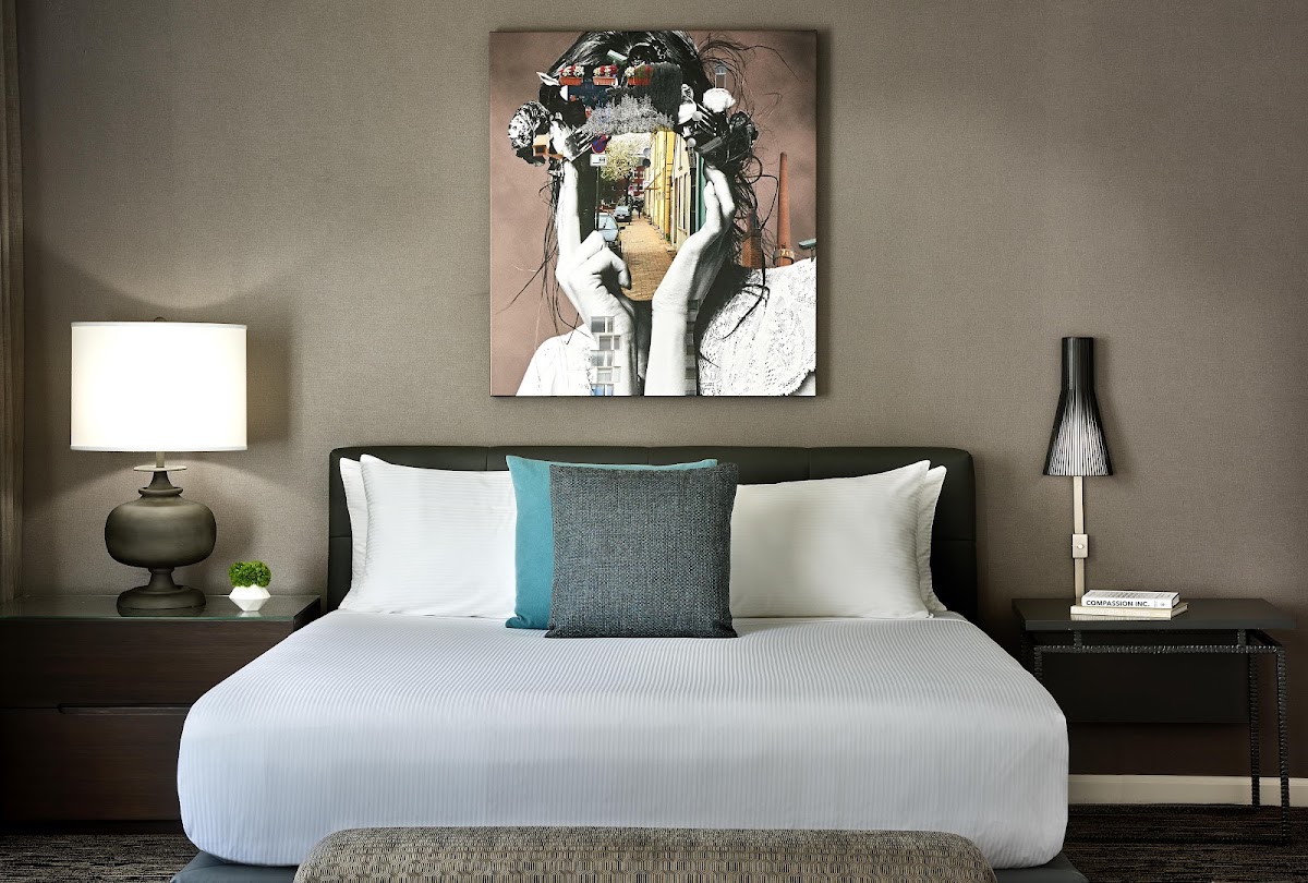 Hotel Zelos San Francisco, dog-friendly hotel, photo 4
