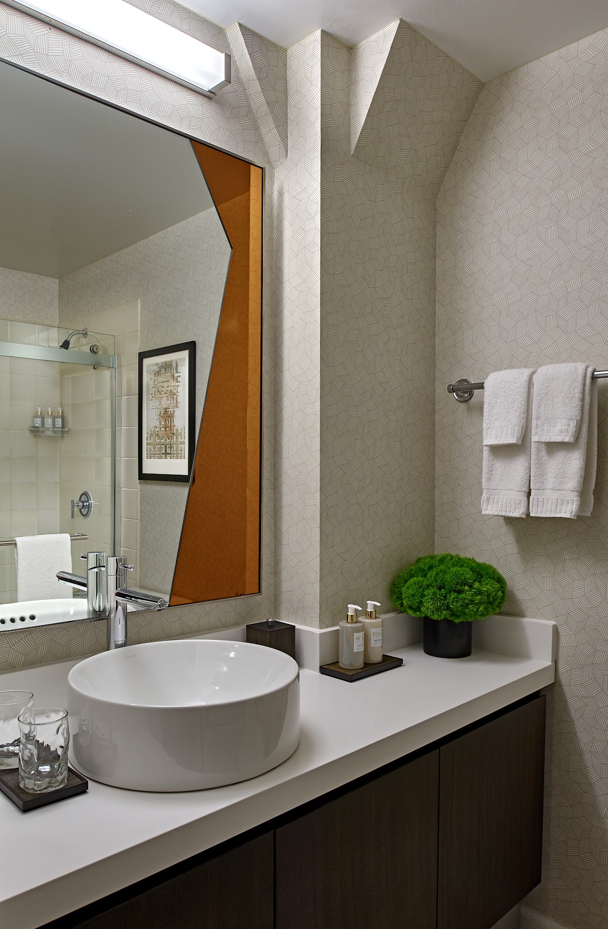 Hotel Zelos San Francisco, dog-friendly hotel, photo 2