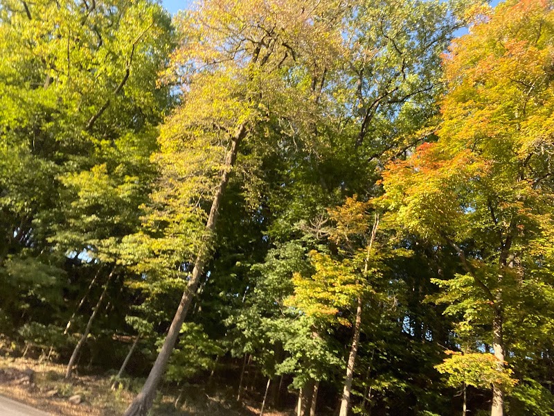 Lehigh Parkway Disc Golf Course photo 5