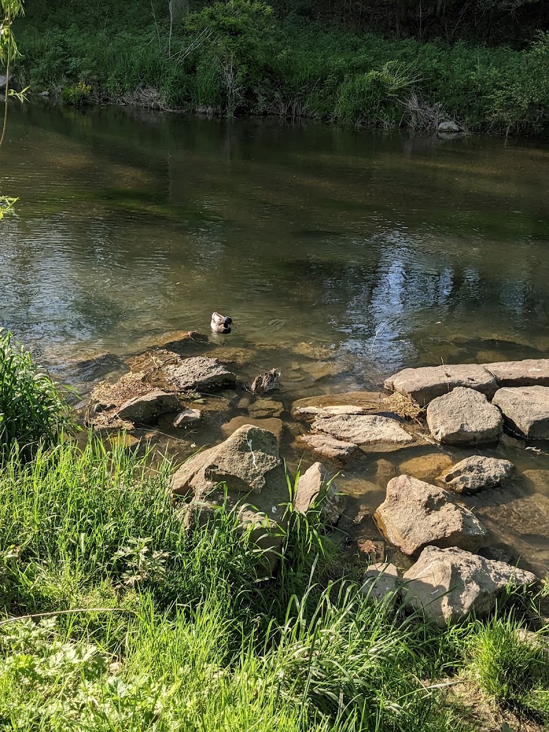Lehigh Parkway Disc Golf Course photo 3