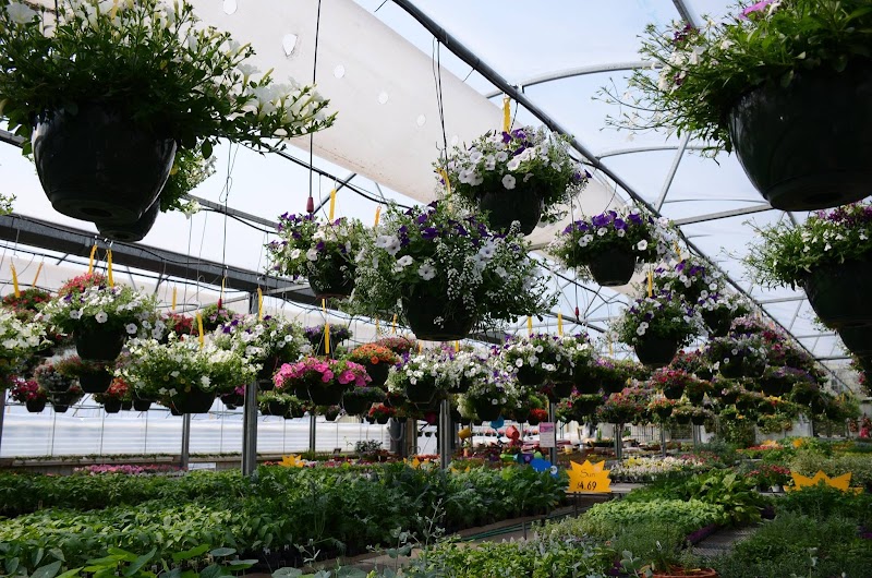 Village Gardens photo 3