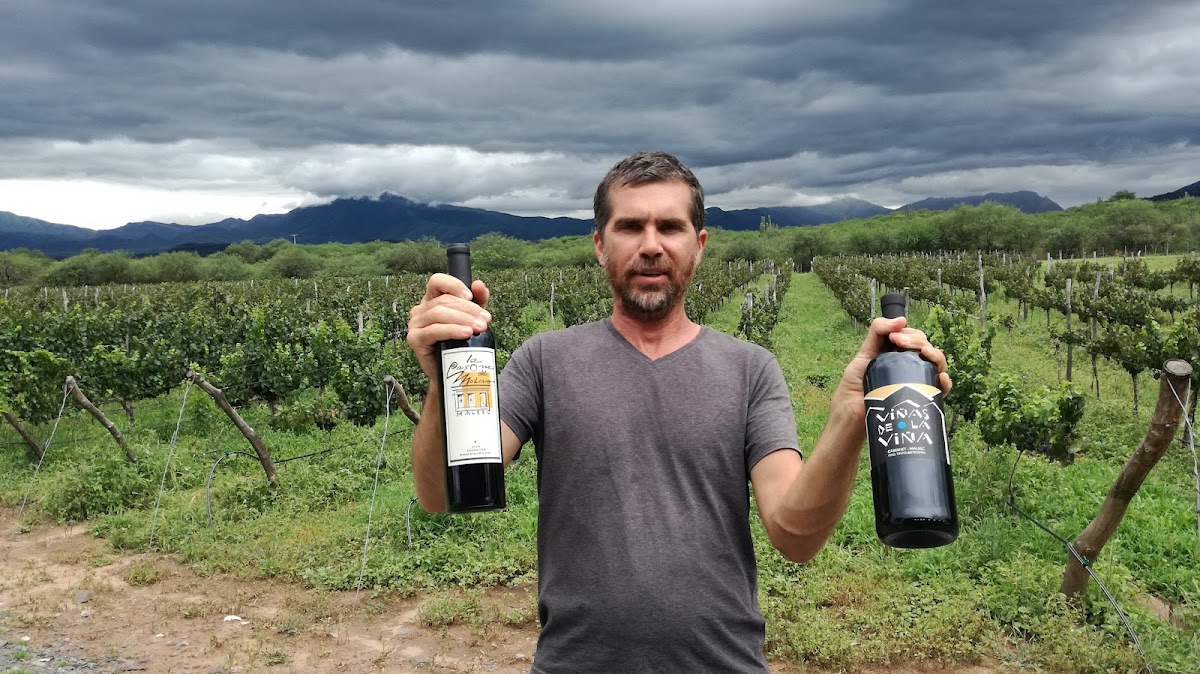 Viñas de la Viña