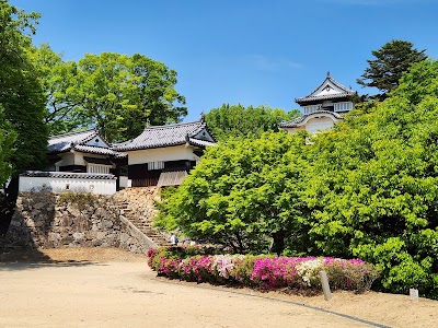 Bitchu Matsuyama Castle - 1