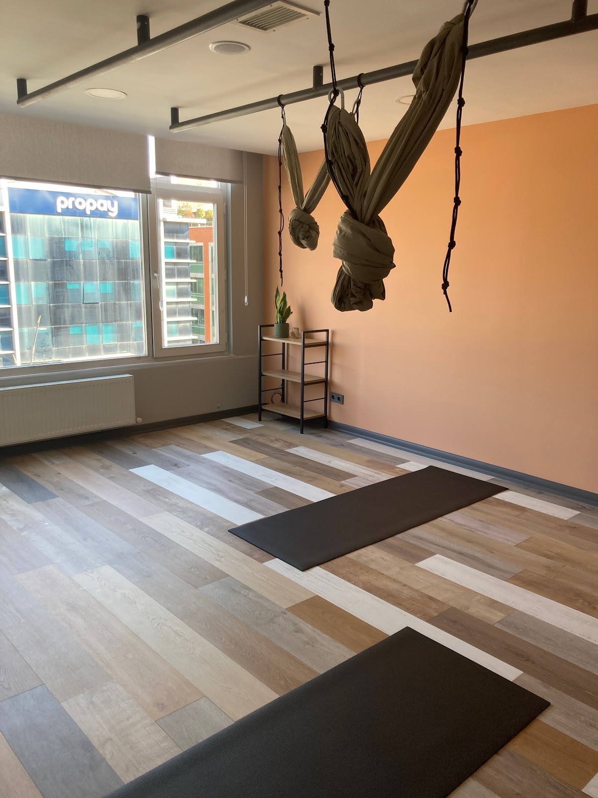 YogaHamsa — 3