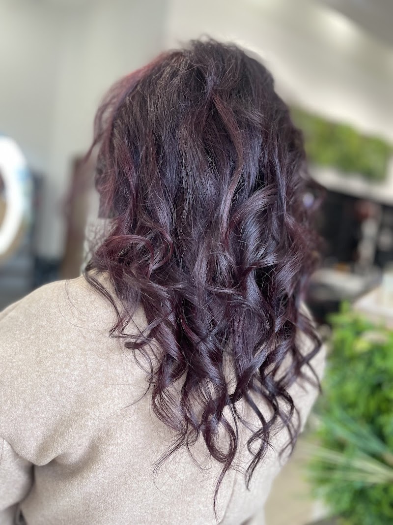 EUROP COIFFURE — photo 2