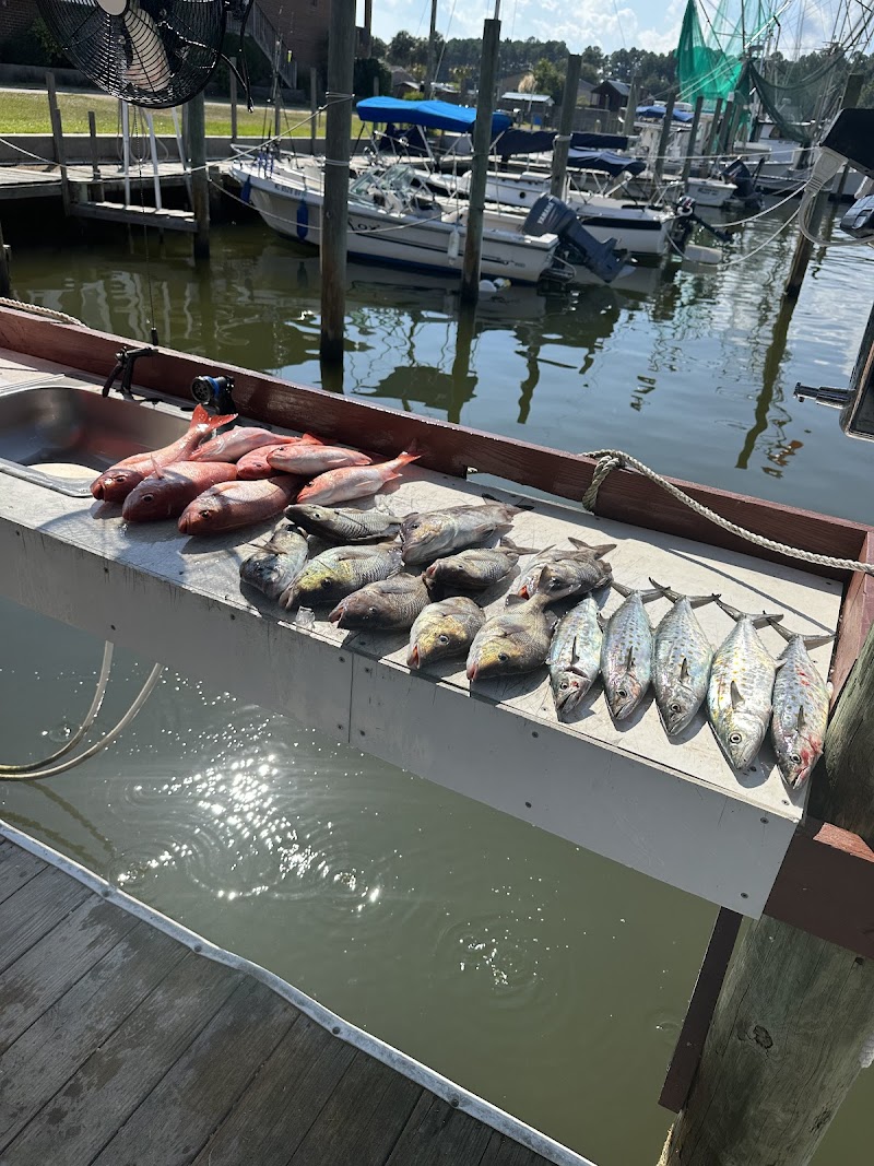 Dock Shocker Fishing Charters