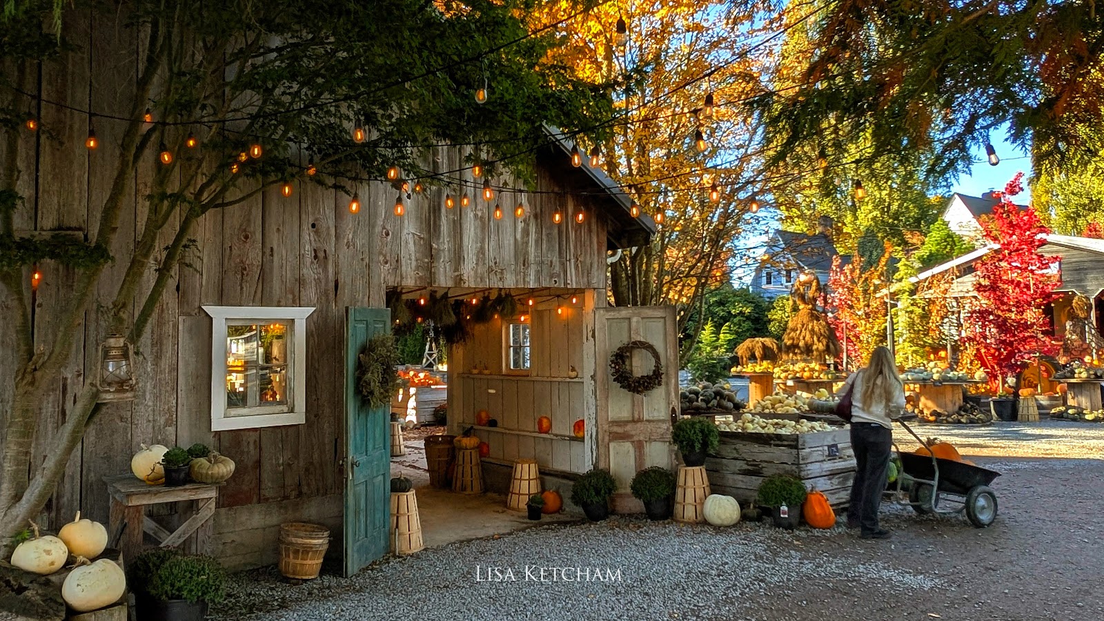 Gordon Skagit Farms