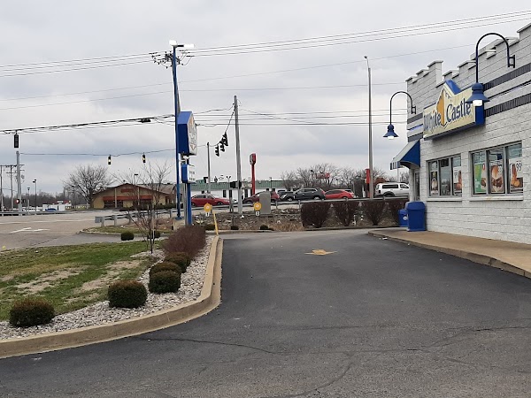 Photo by Fungus Head