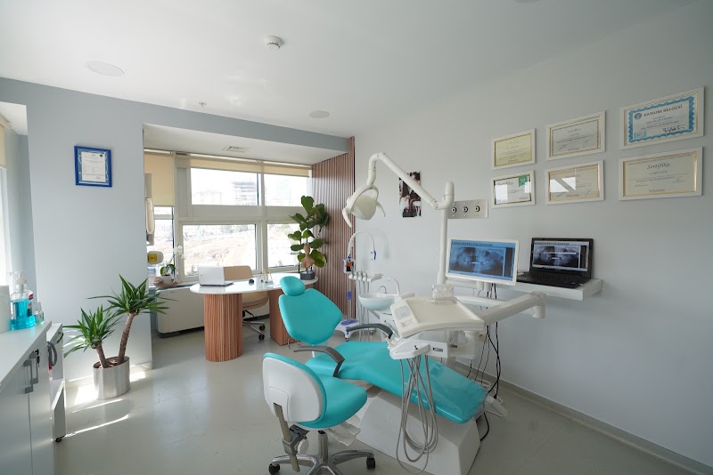 Gallery 2
