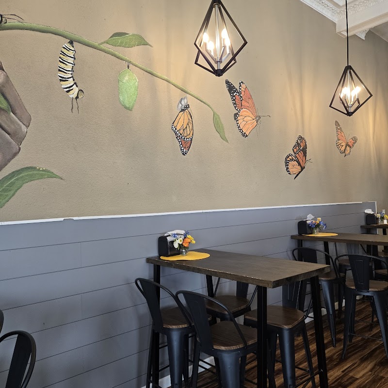 The Monarch Coffee House photo 3