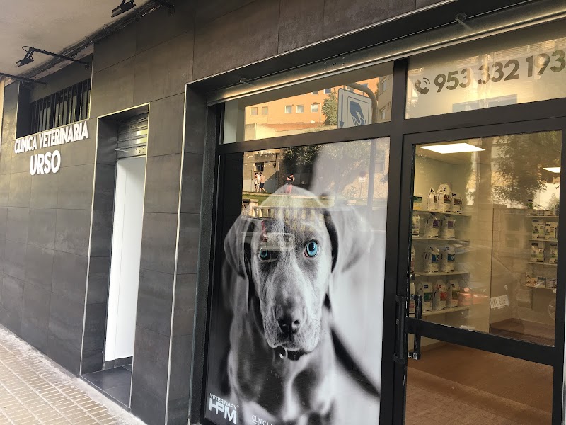 CLINICA VETERINARIA URSO