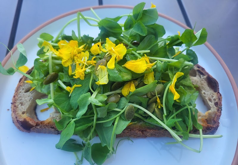 Cat & Cloud Coffee photo 3