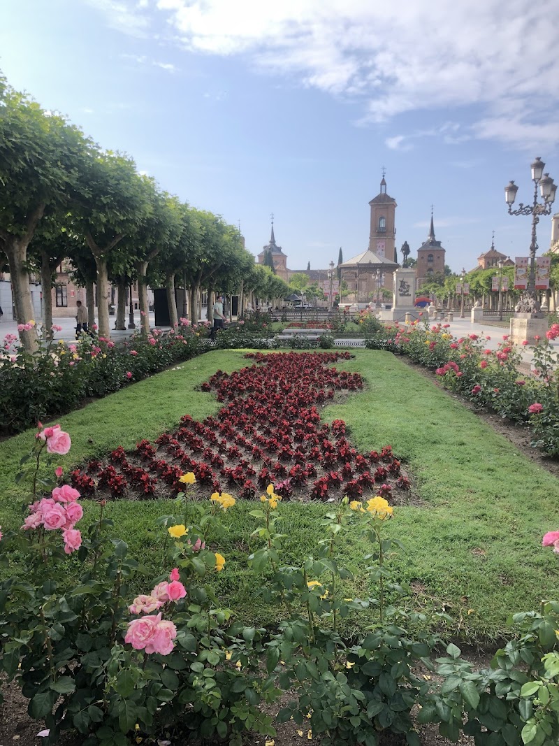 Educación y Ajedrez