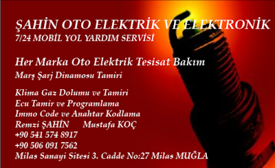 ŞAHİN OTO ELEKTRİK VE ELEKTRONİK - Oto Servisi
