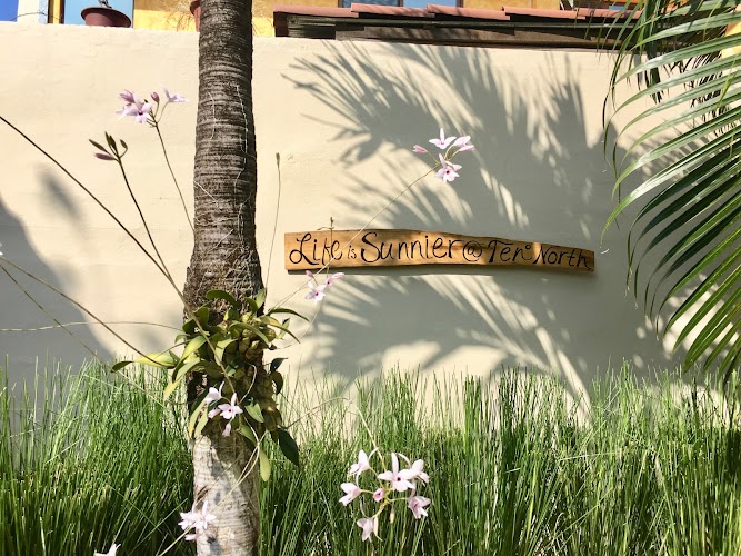 Ten North Tamarindo Beach Hotel