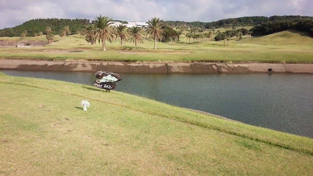 Cosmo Resort Tanegashima Golf Club - Photo 8