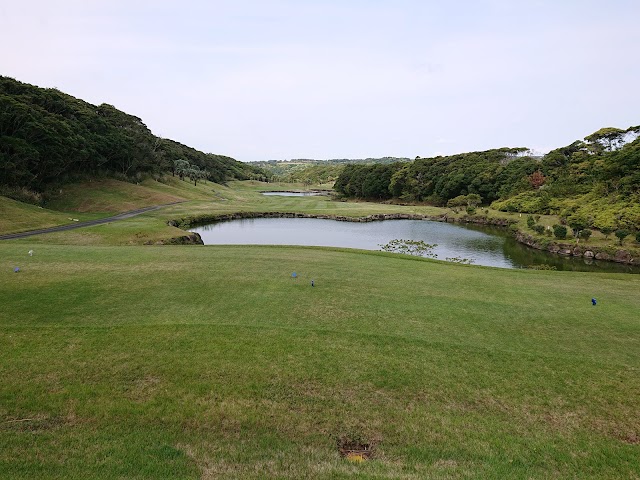 Cosmo Resort Tanegashima Golf Club - Photo 3
