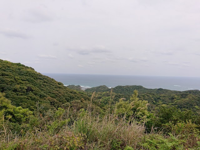 Cosmo Resort Tanegashima Golf Club - Photo 4