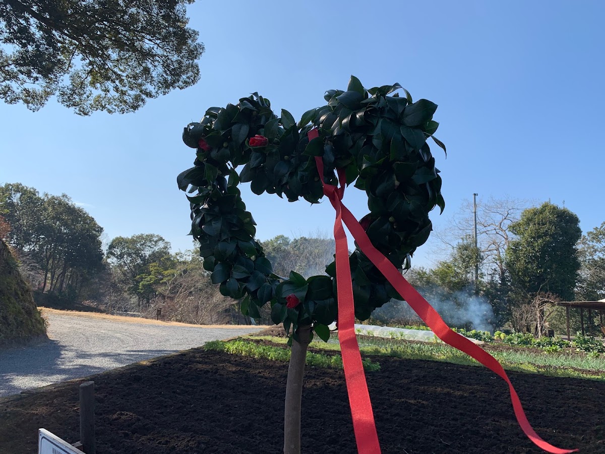 Tenku no Mori - villa in Kirishima, Kagoshima (3)