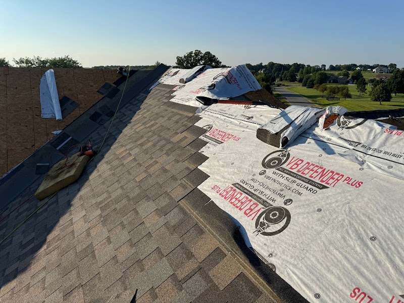 Modern Exterior Roofing photo 1