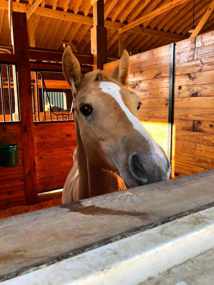 Tack Tavern Ranch - Photo 2