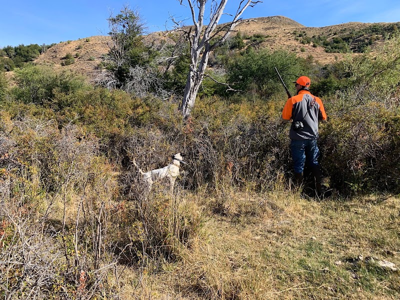 Pineridge Grouse Camp - Photo 5