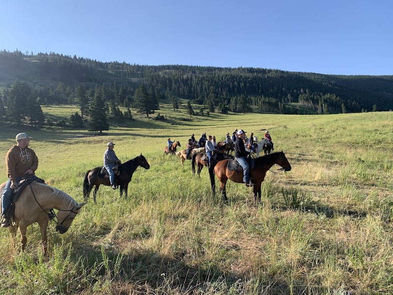 Sweet Grass Ranch - Photo 2