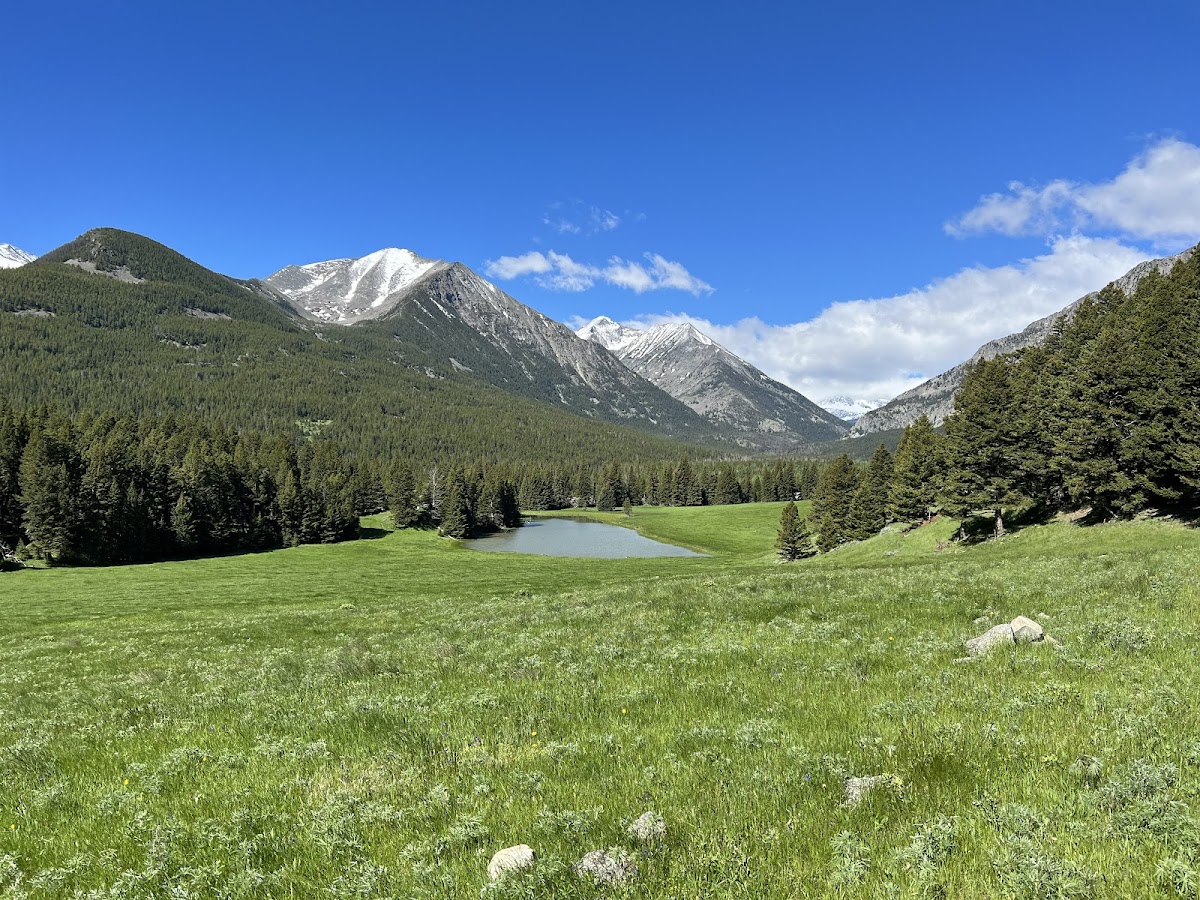 Sweet Grass Ranch