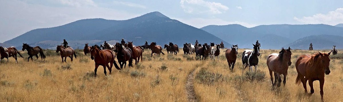 Silver Spur Ranch Idaho
