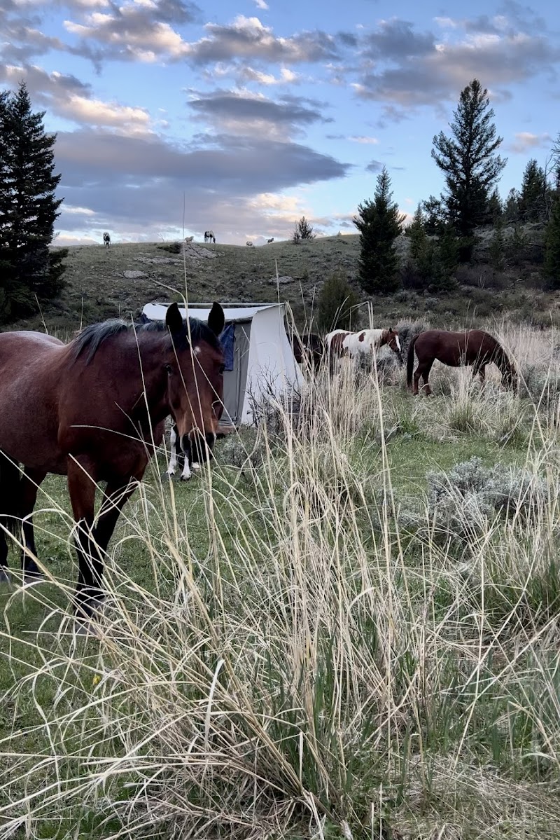 Silver Spur Ranch Idaho - Photo 4