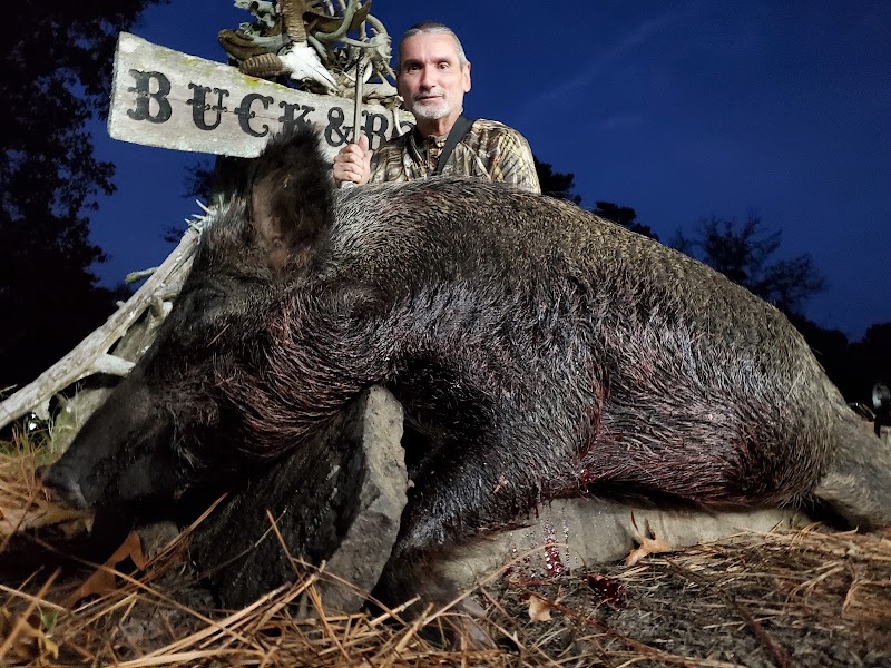 Big Daddy's Tactical photo