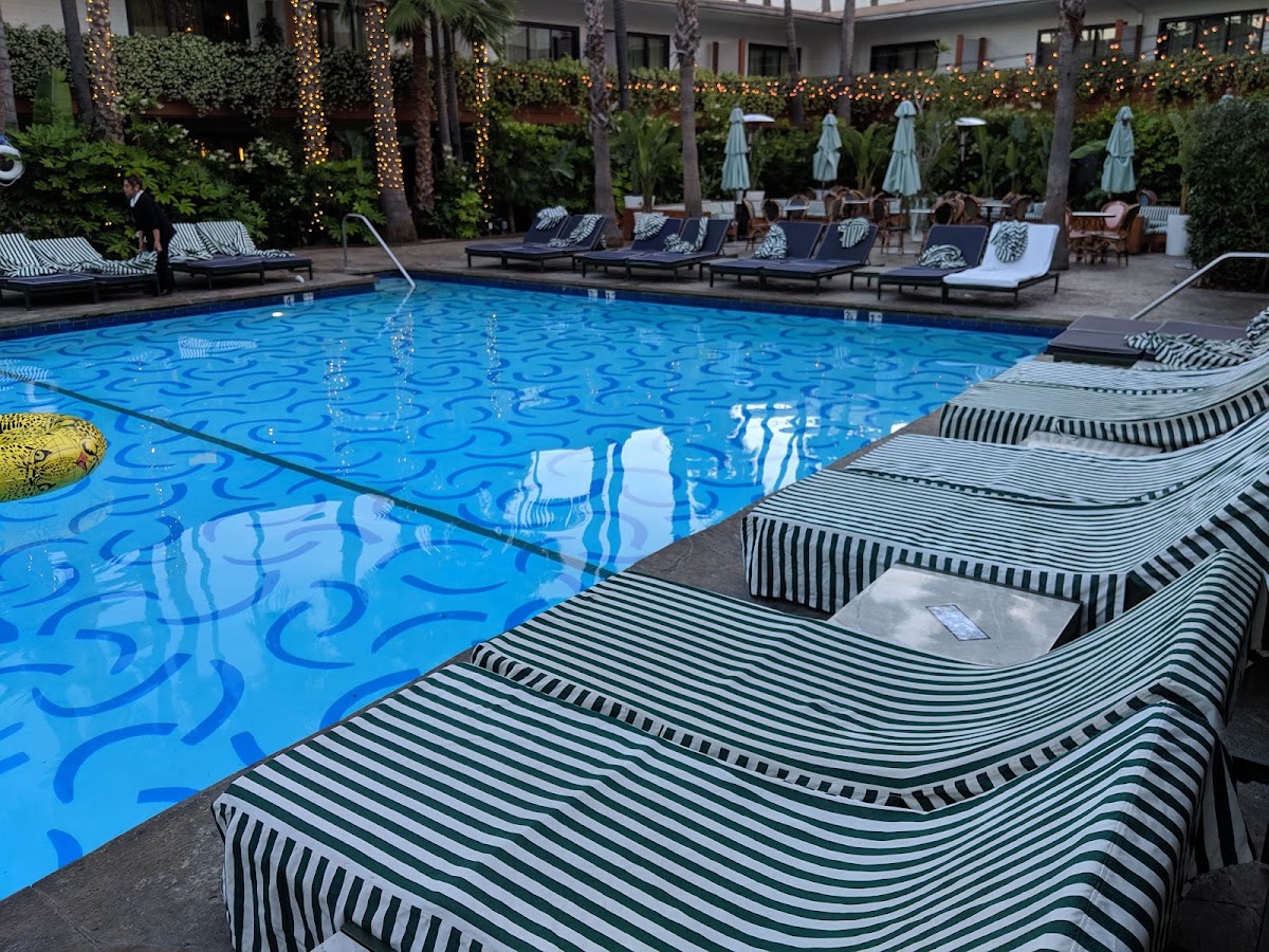 The Hollywood Roosevelt, dog-friendly hotel, photo 2