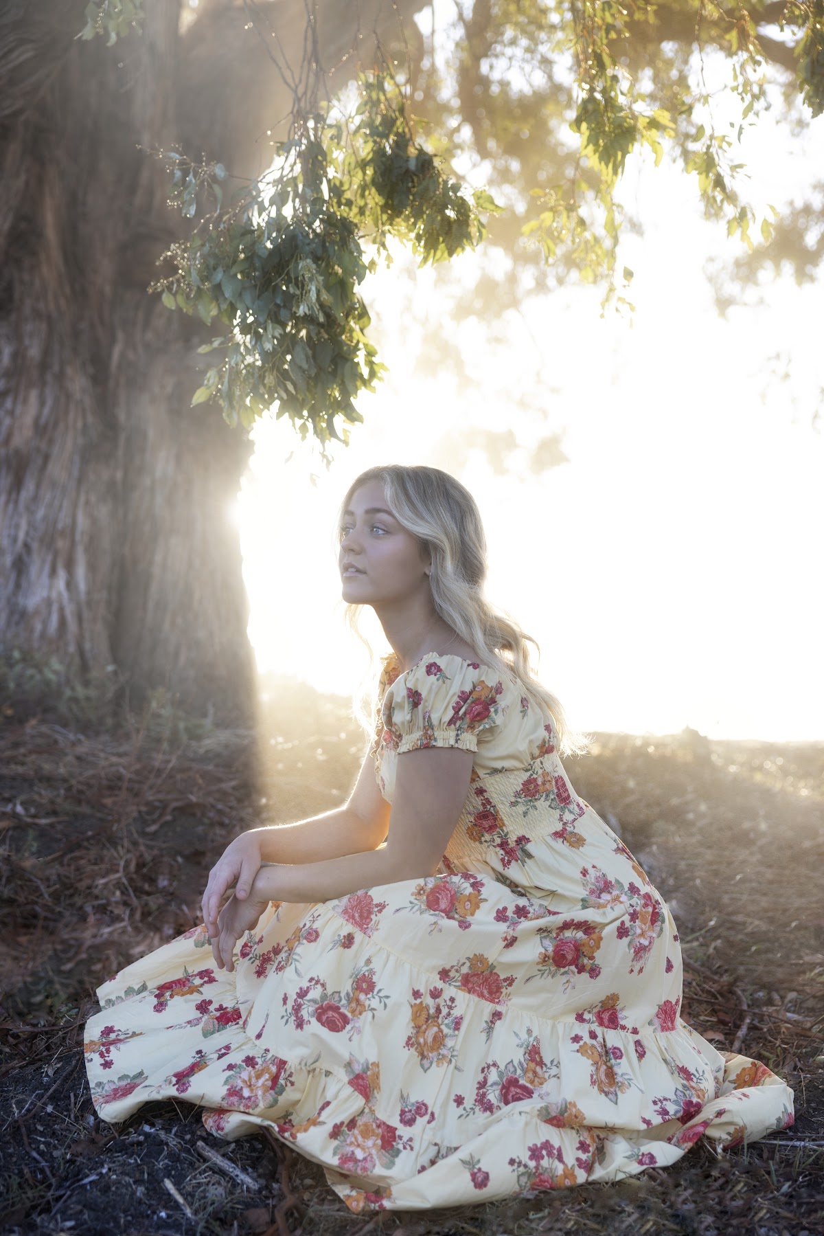 Sam Lehto Photography: Google Places image 5