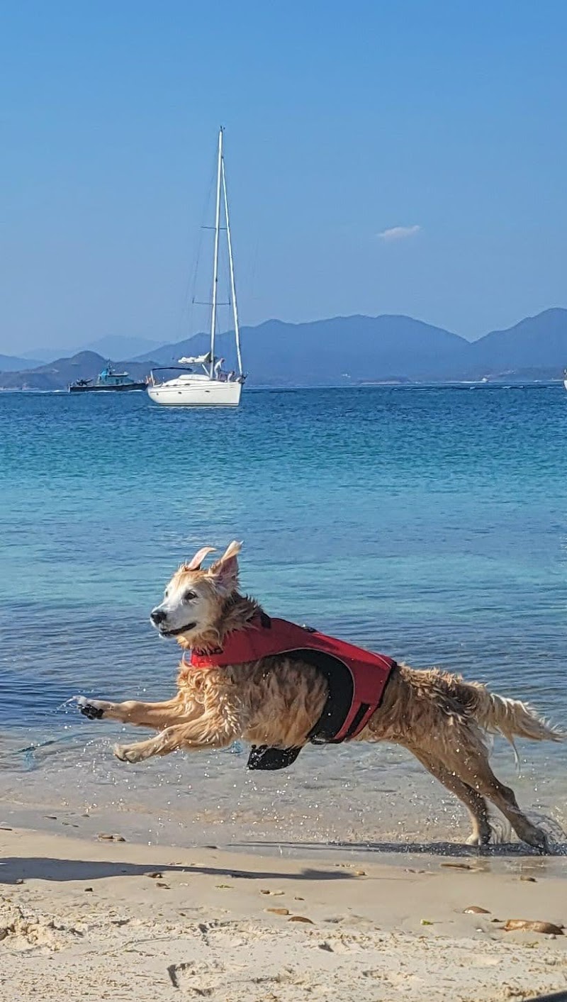 VALLEY VETERINARY CENTRE