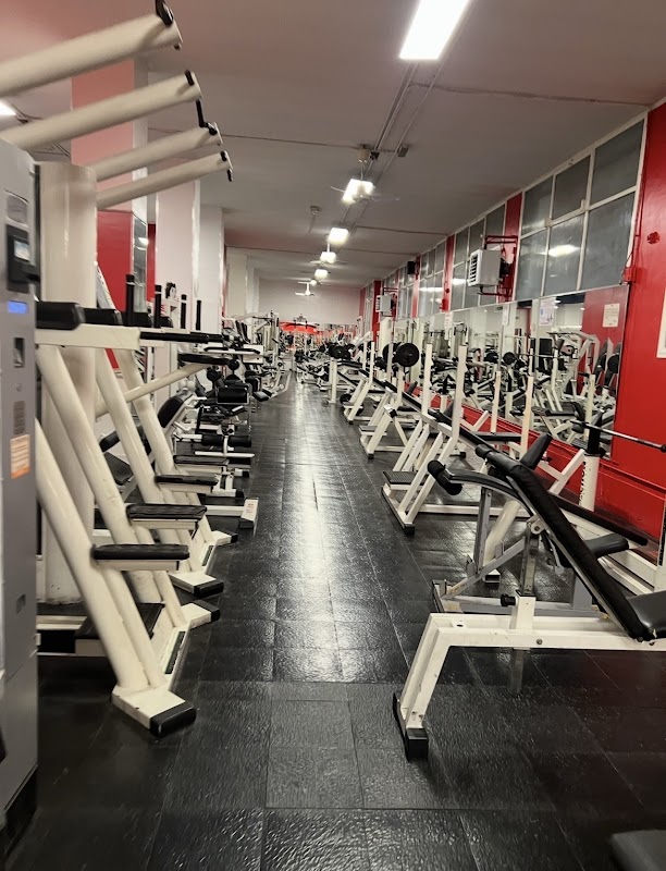 Gym Master Asd