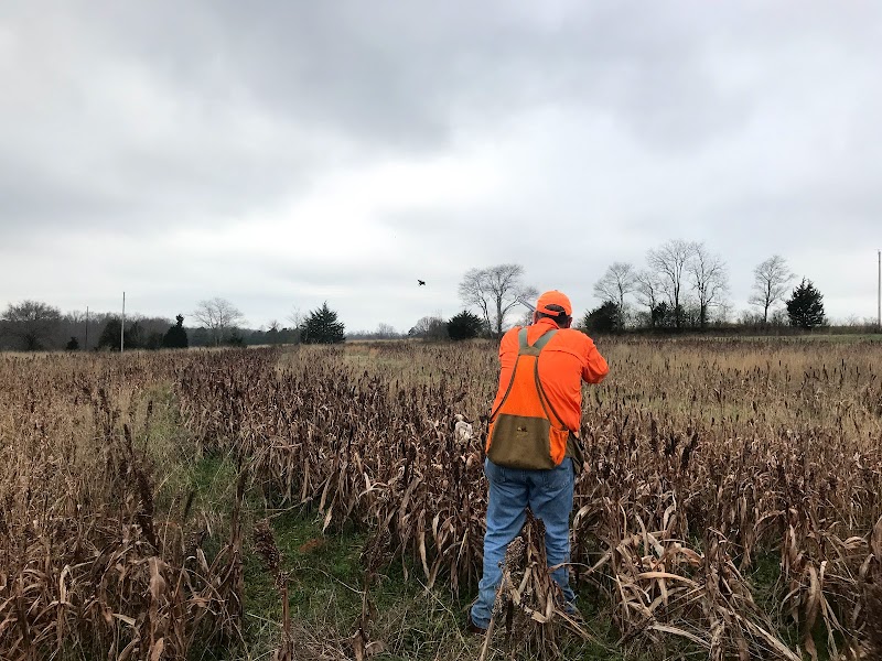 FORK PLANTATION - Photo 1