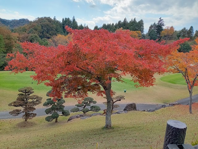 Olympic Country Club - Photo 10