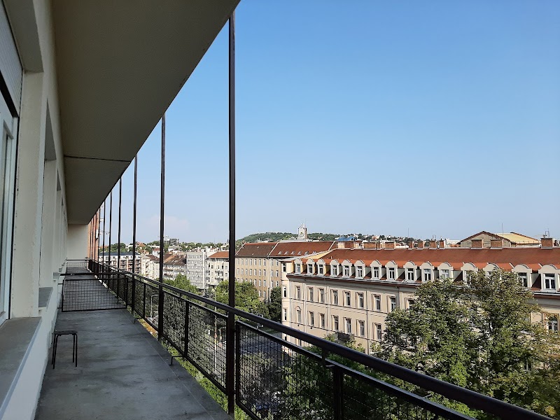 Gallery 5
