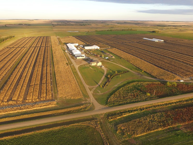 Gisi Pheasant Farms - Photo 1