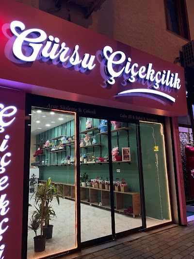 Gürsu Çicekcilik - Klima Servisi