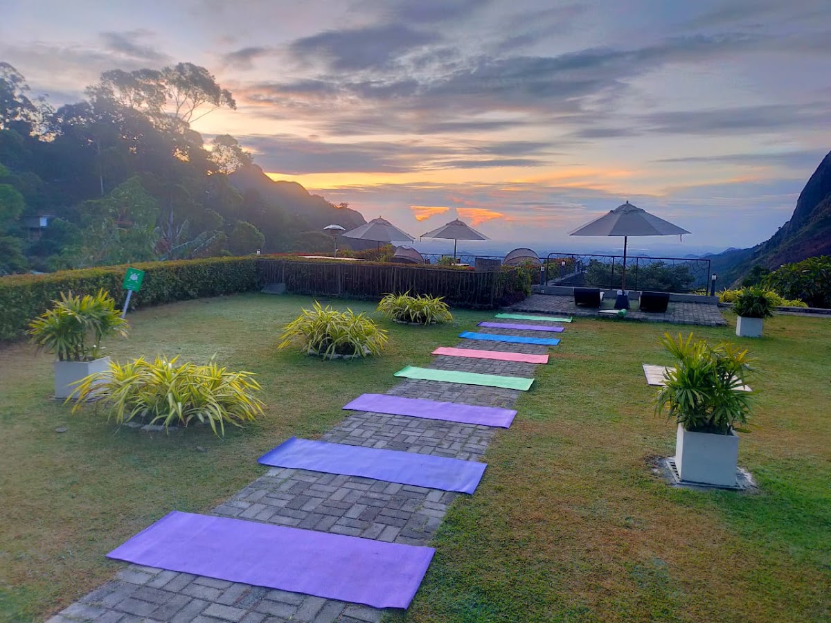 Ella Yoga Hub Village Contact Center Number — 3