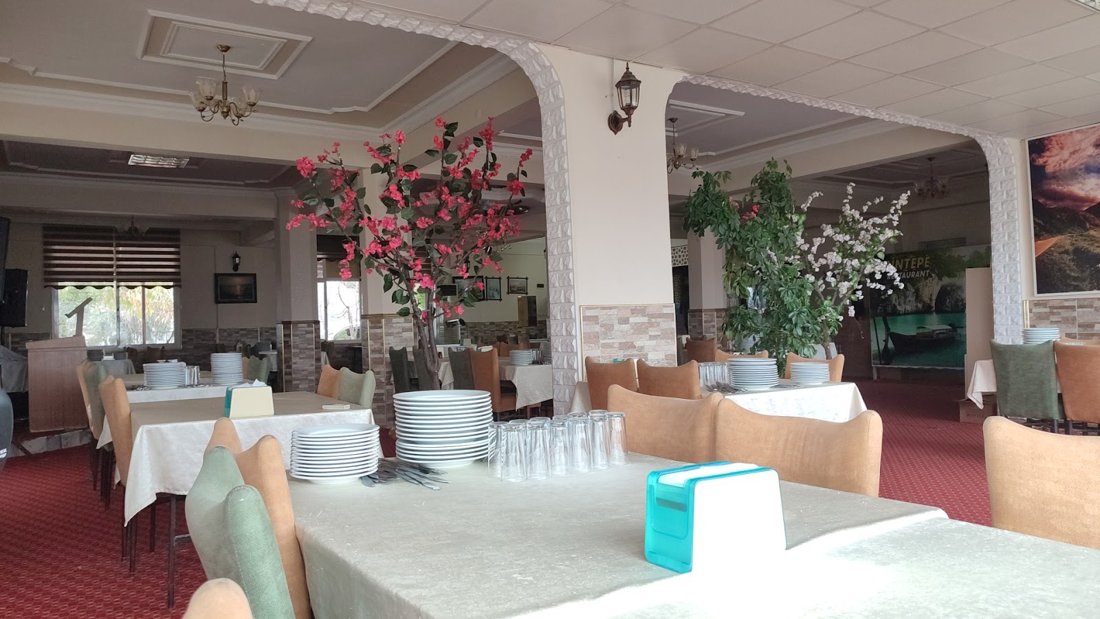 SERİNTEPE RESTAURANT VE PİKNİK YERİ mekanı