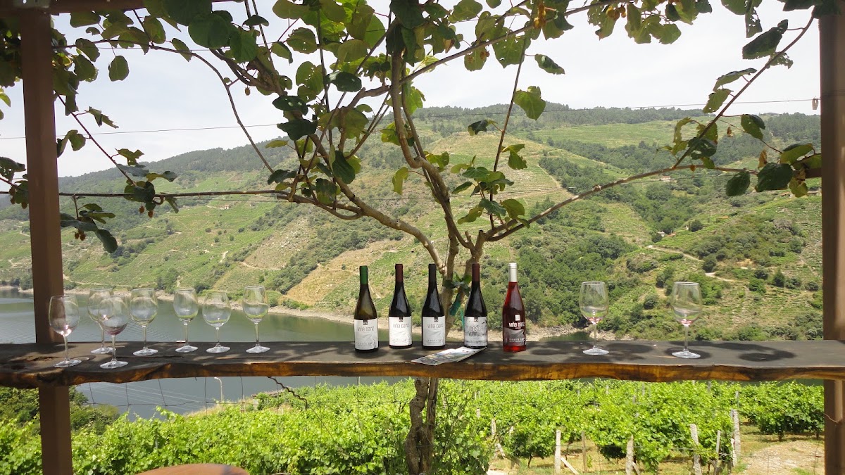 Bodega Caneiro