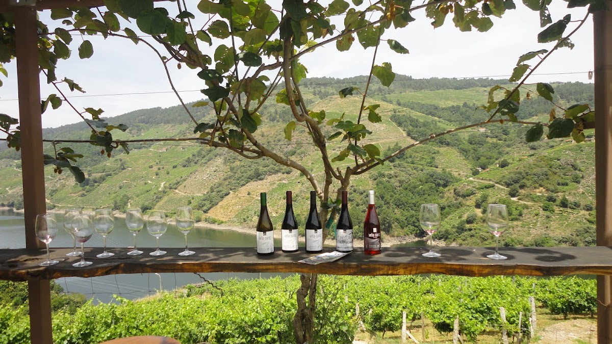 Bodega Caneiro