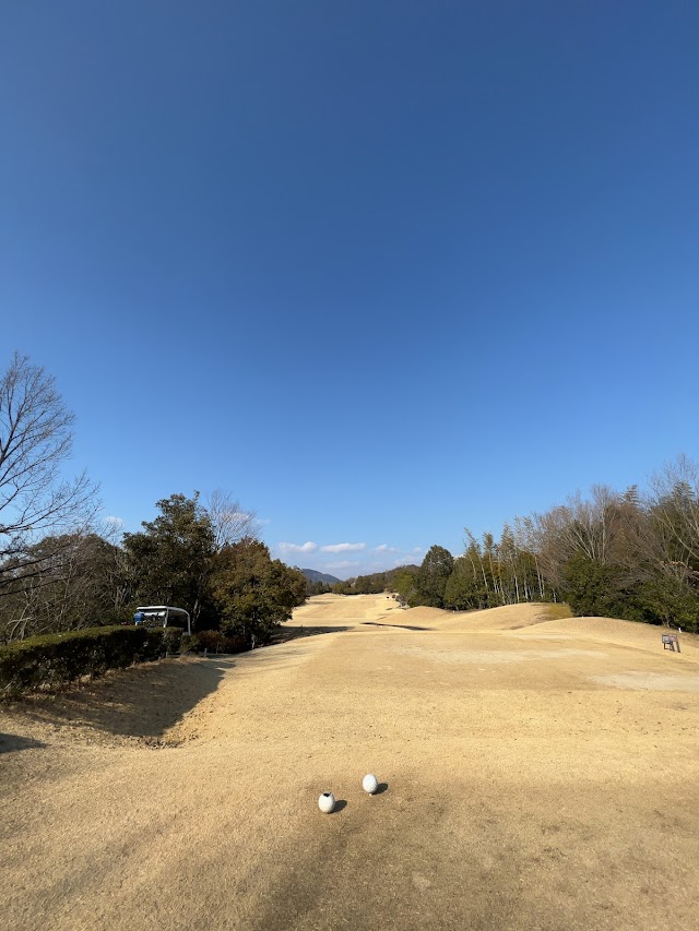 Shinshi Classic Golf Club - Photo 4