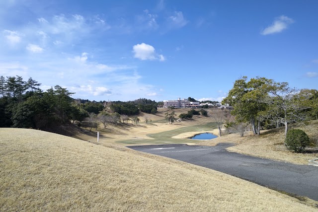 Lake Forest Resort Bird Spring Course - Photo 7